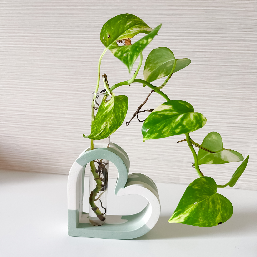 Heart Shaped Stem Vase Propagation Station image 0
