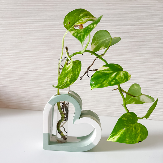 Heart Shaped Stem Vase Propagation Station image 0