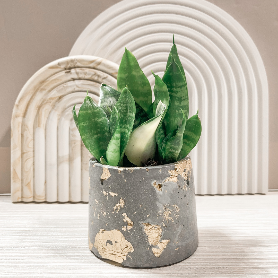 Industrial Vintage Planter image 4