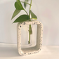 Stem Vase l Propagation Station image 3