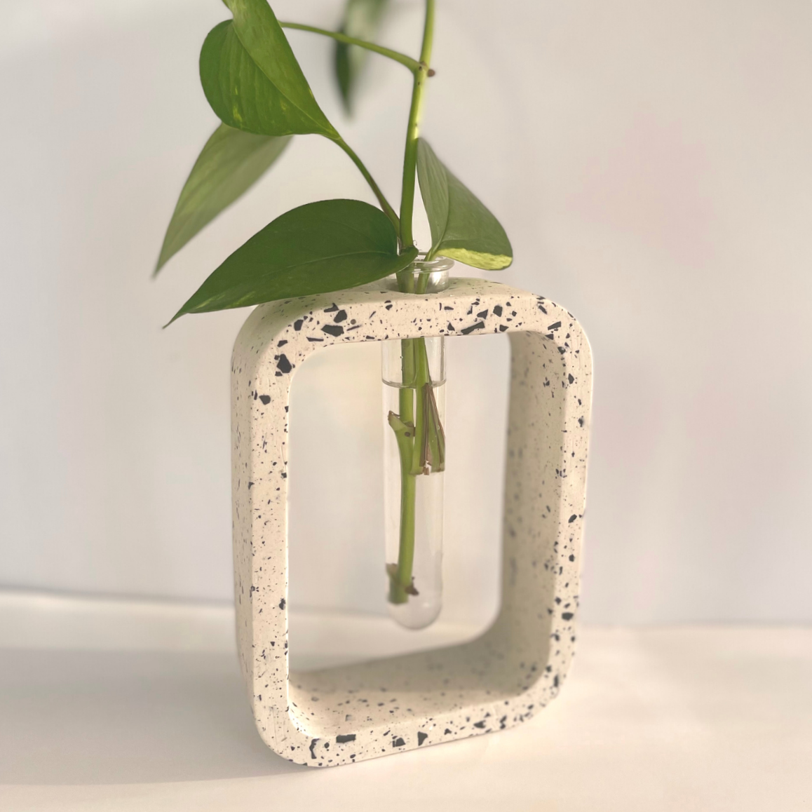 Stem Vase l Propagation Station image 3