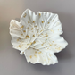 Gold Leaf Maple Leaf Trinket Dish image 1