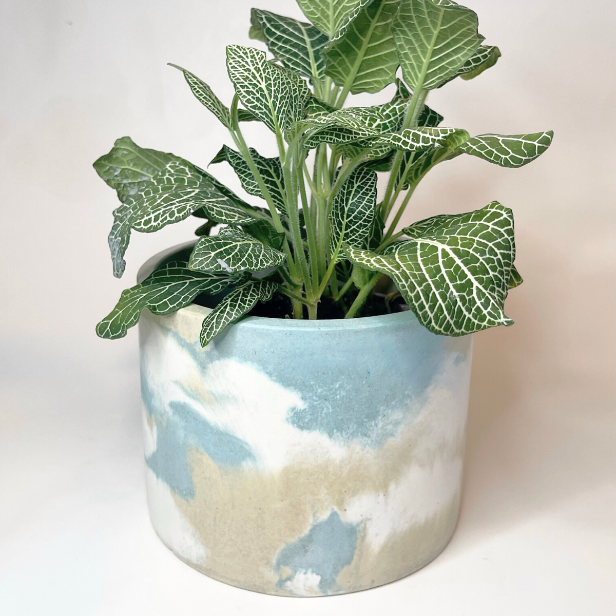 Marbleized Planter image 0