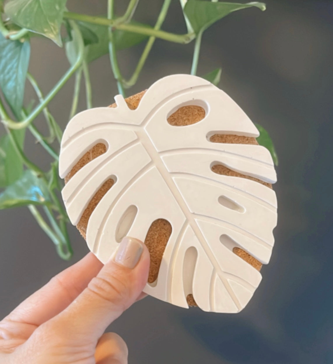 Marbleized Monstera Coasters image 6