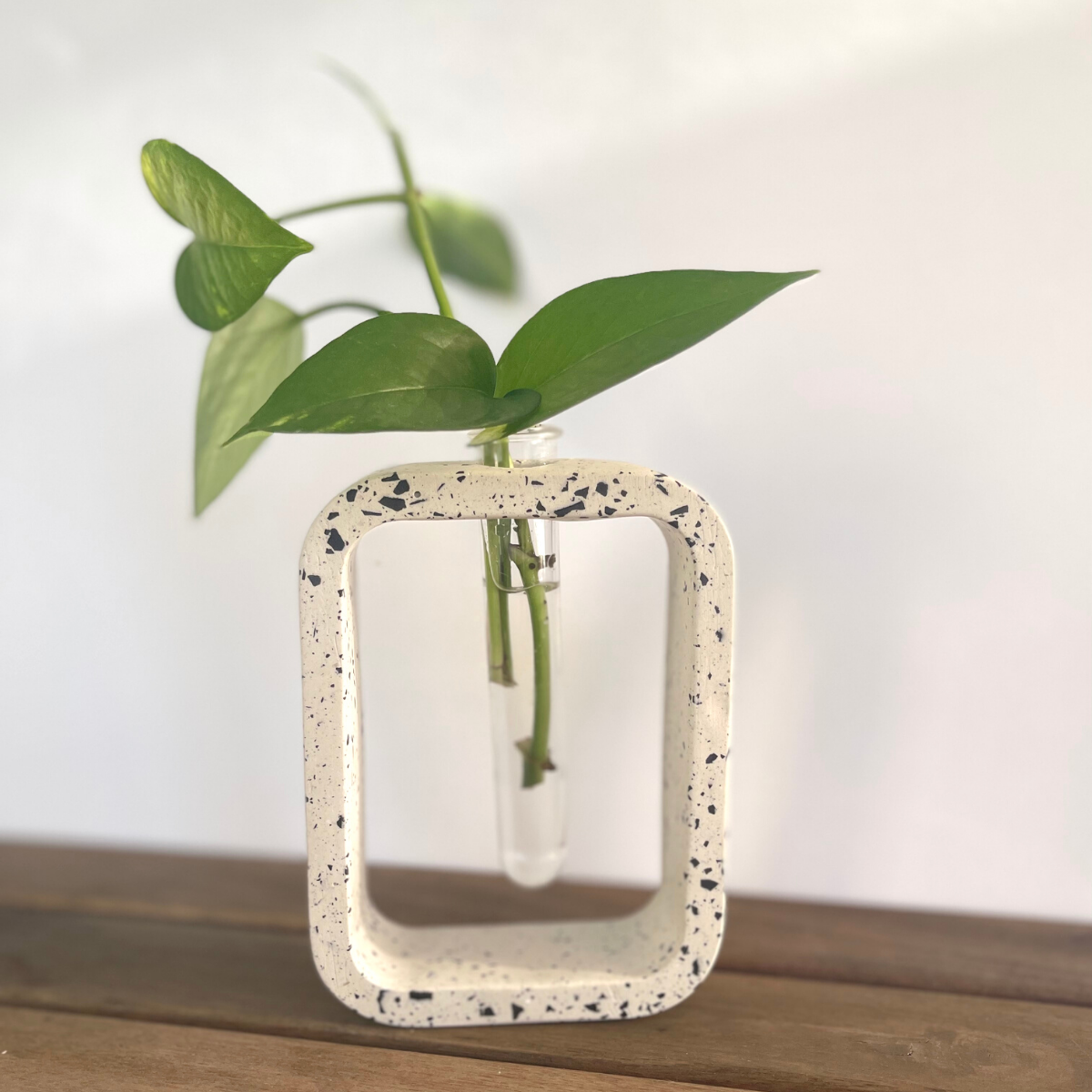 Stem Vase l Propagation Station image 2