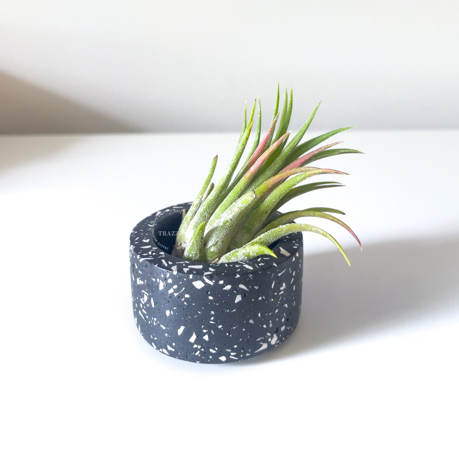 Terrazzo Tealight Candle Holder | Air Plant & Succulent Holder image 5