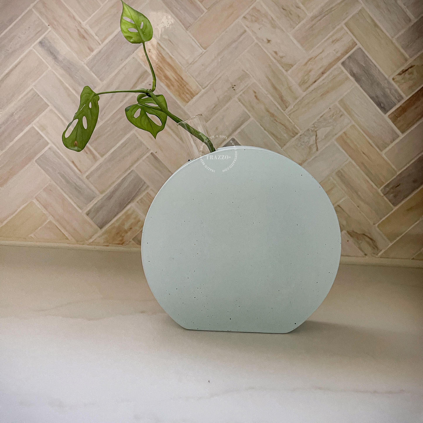 Aqua Haven Terrazzo Pearl Propagation Orb image 3