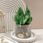 Industrial Vintage Planter image 5