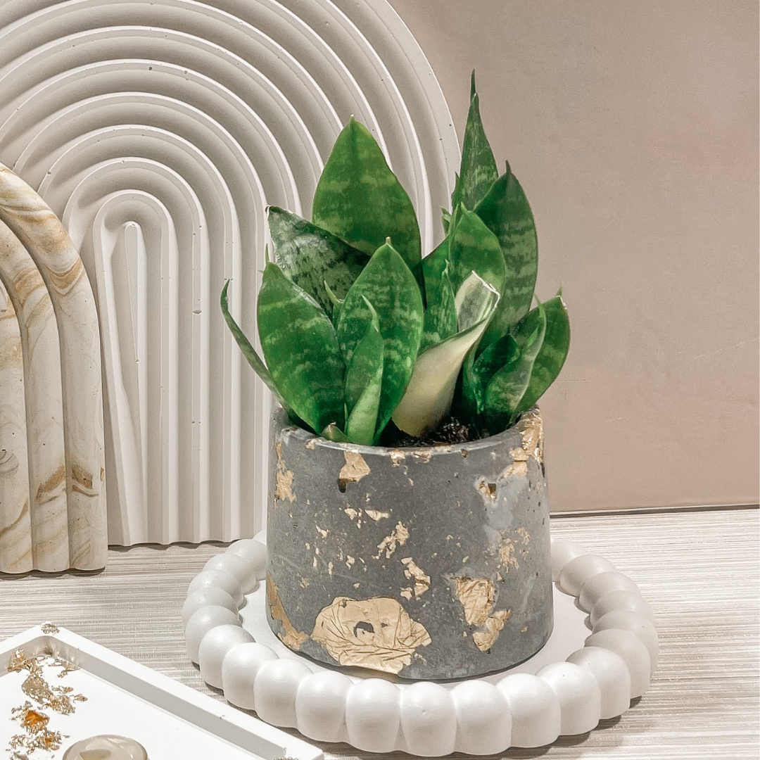 Industrial Vintage Planter image 5