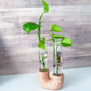 Neutral Terrazzo Propagation Station | Taper Candle Holder image 12