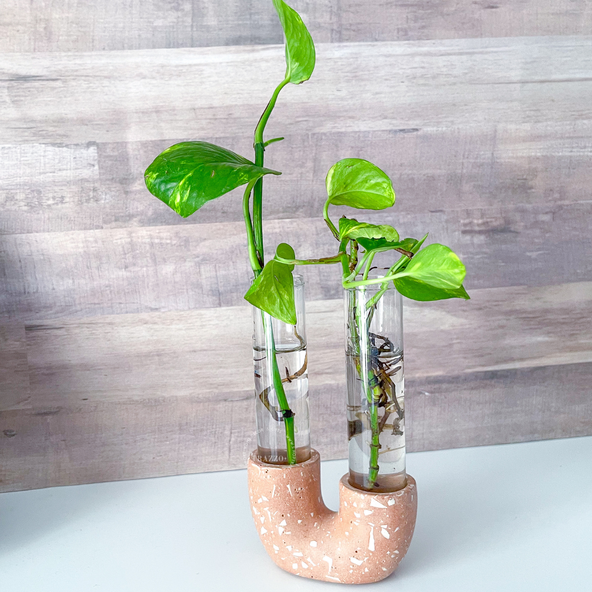 Neutral Terrazzo Propagation Station | Taper Candle Holder image 12