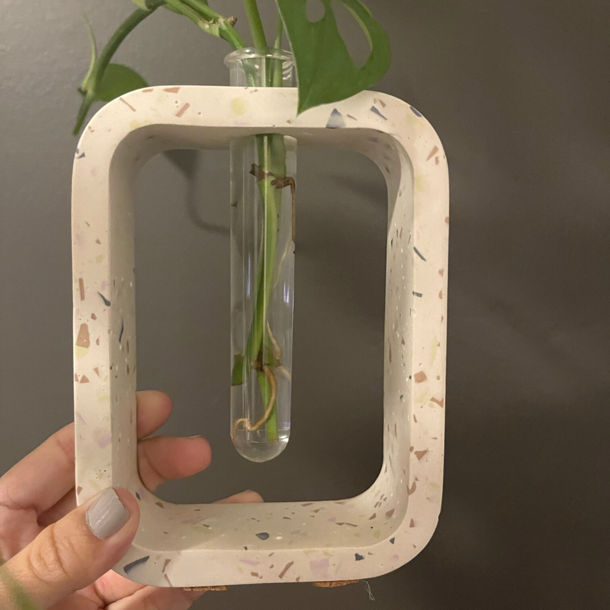 Stem Vase l Propagation Station image 4