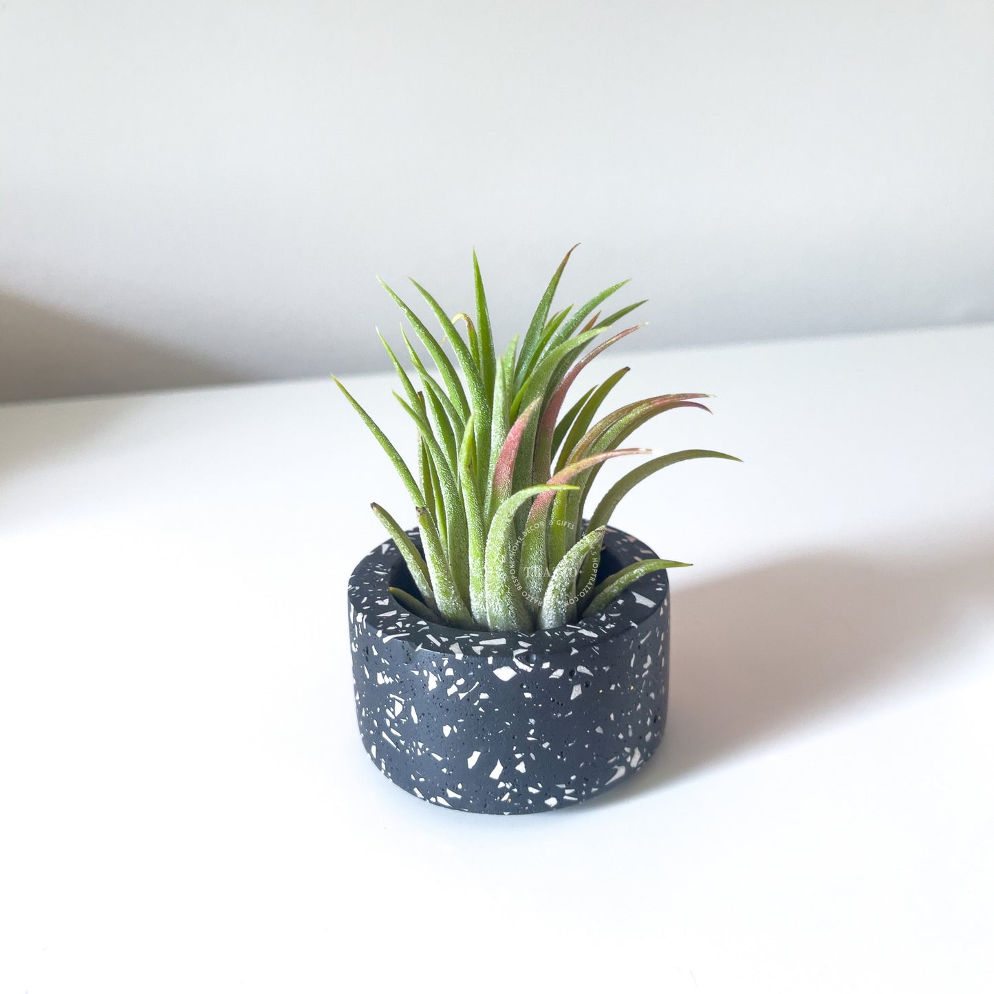 Terrazzo Tealight Candle Holder | Air Plant & Succulent Holder image 6