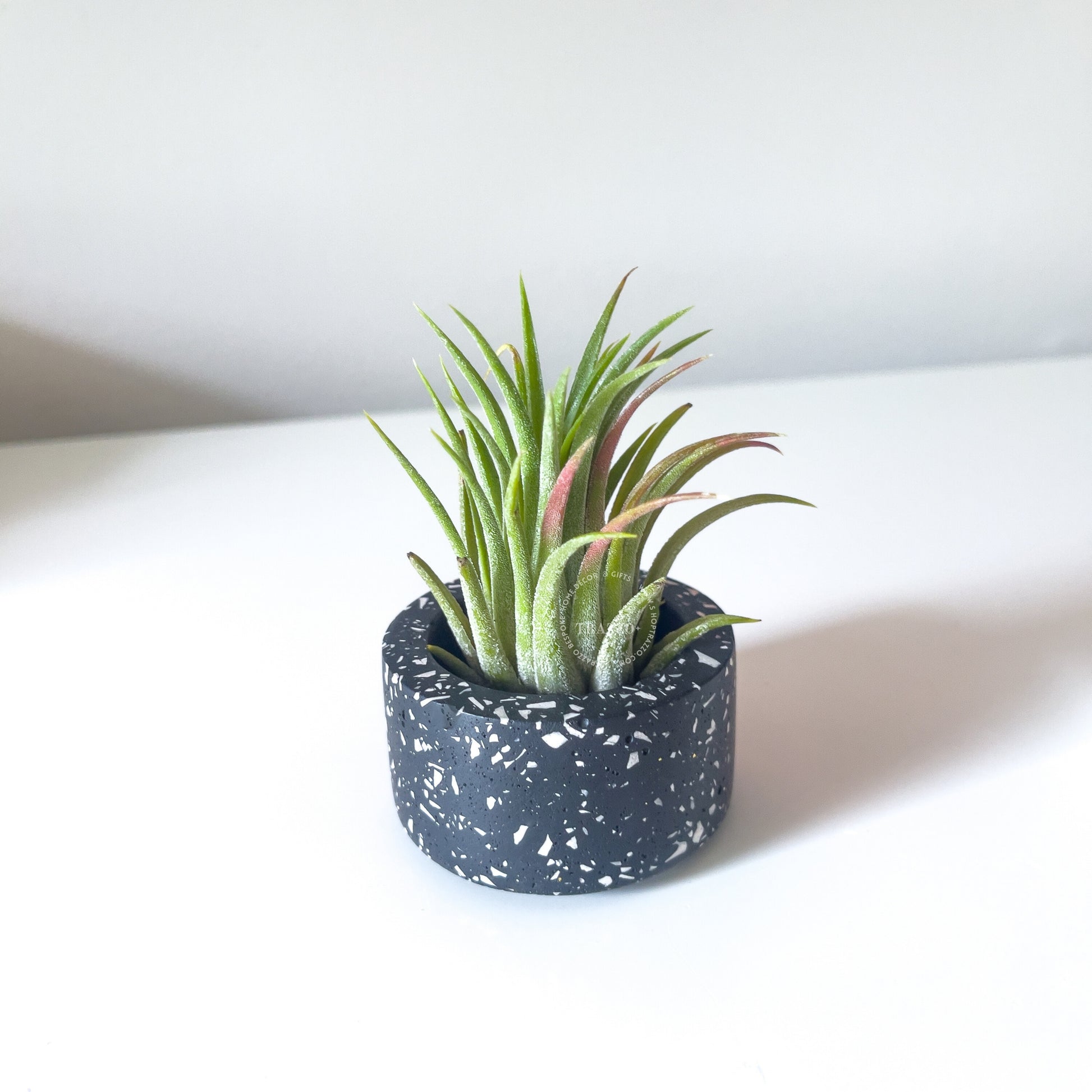 Terrazzo Tealight Candle Holder | Air Plant & Succulent Holder image 6