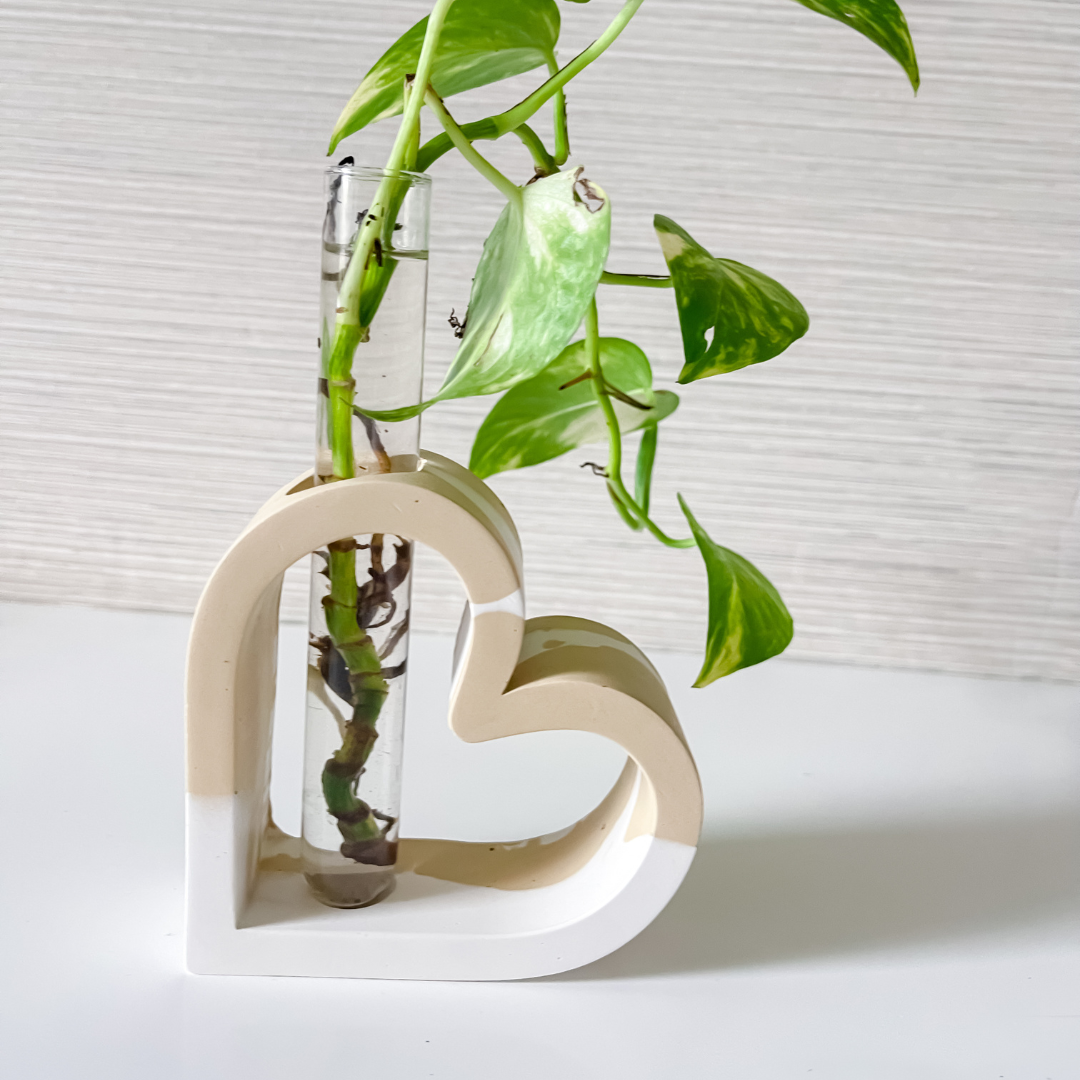 Heart Shaped Stem Vase Propagation Station image 1