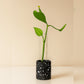 Jesmonite Propagation Station / Stem Vase image 2