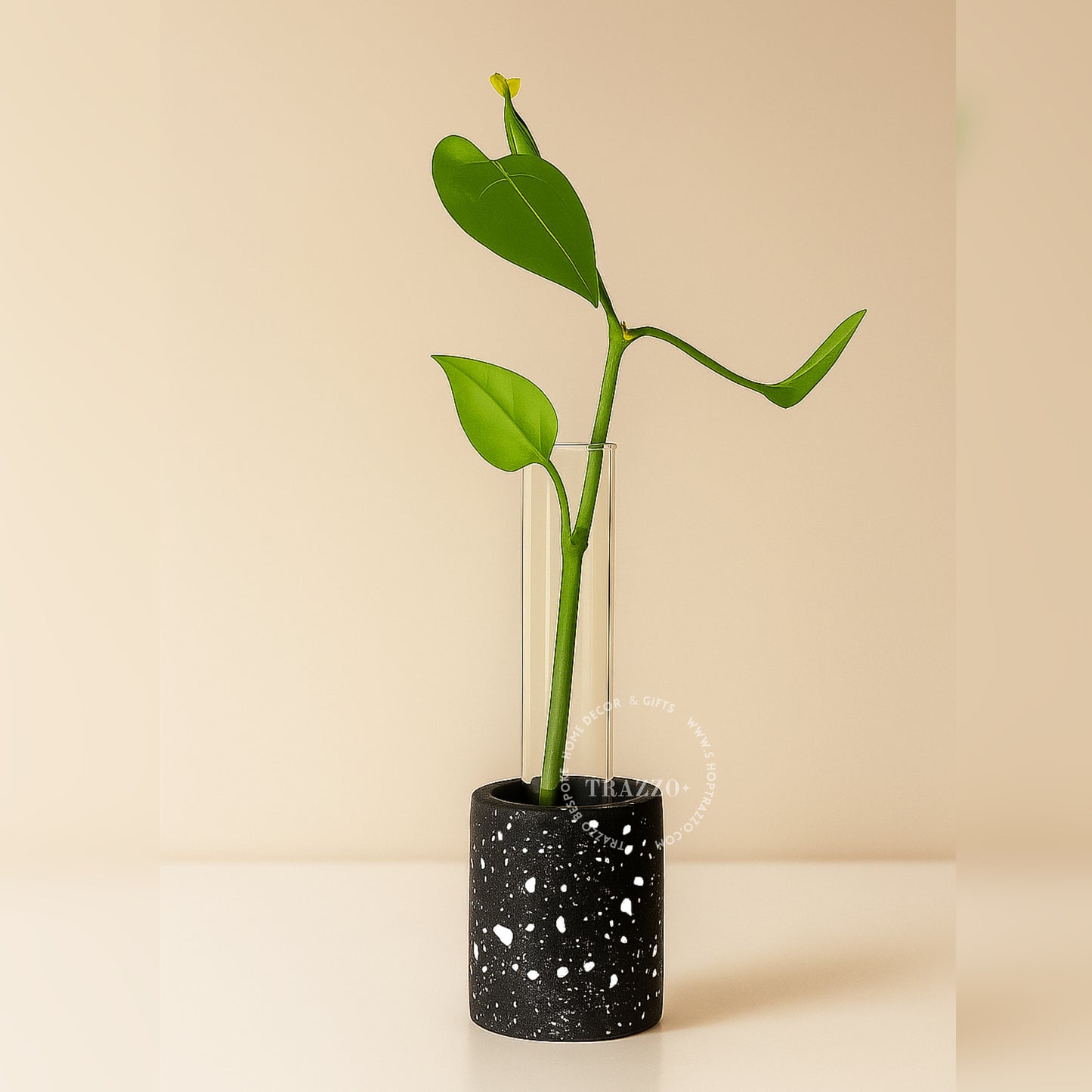 Jesmonite Propagation Station / Stem Vase image 2