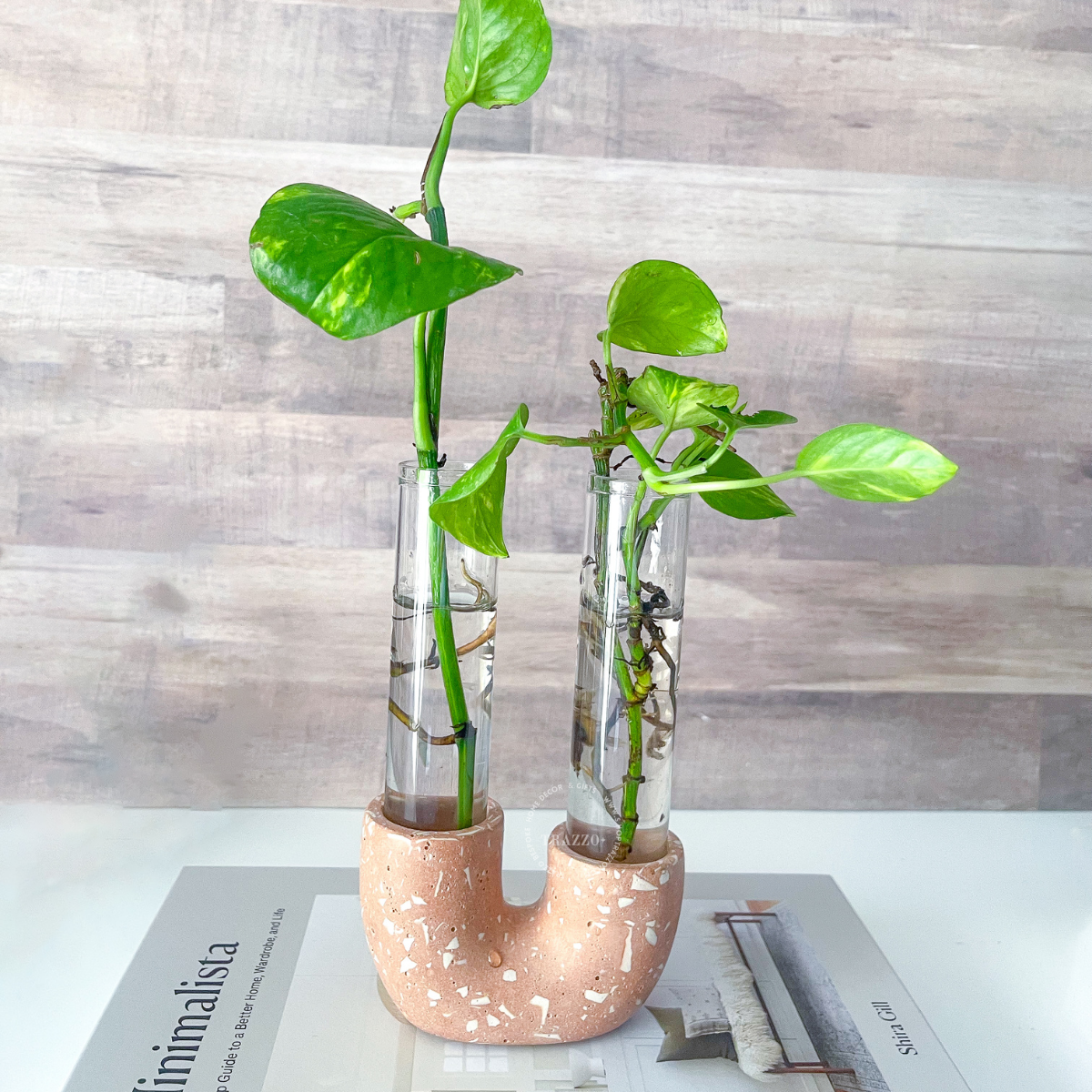Neutral Terrazzo Propagation Station | Taper Candle Holder image 7