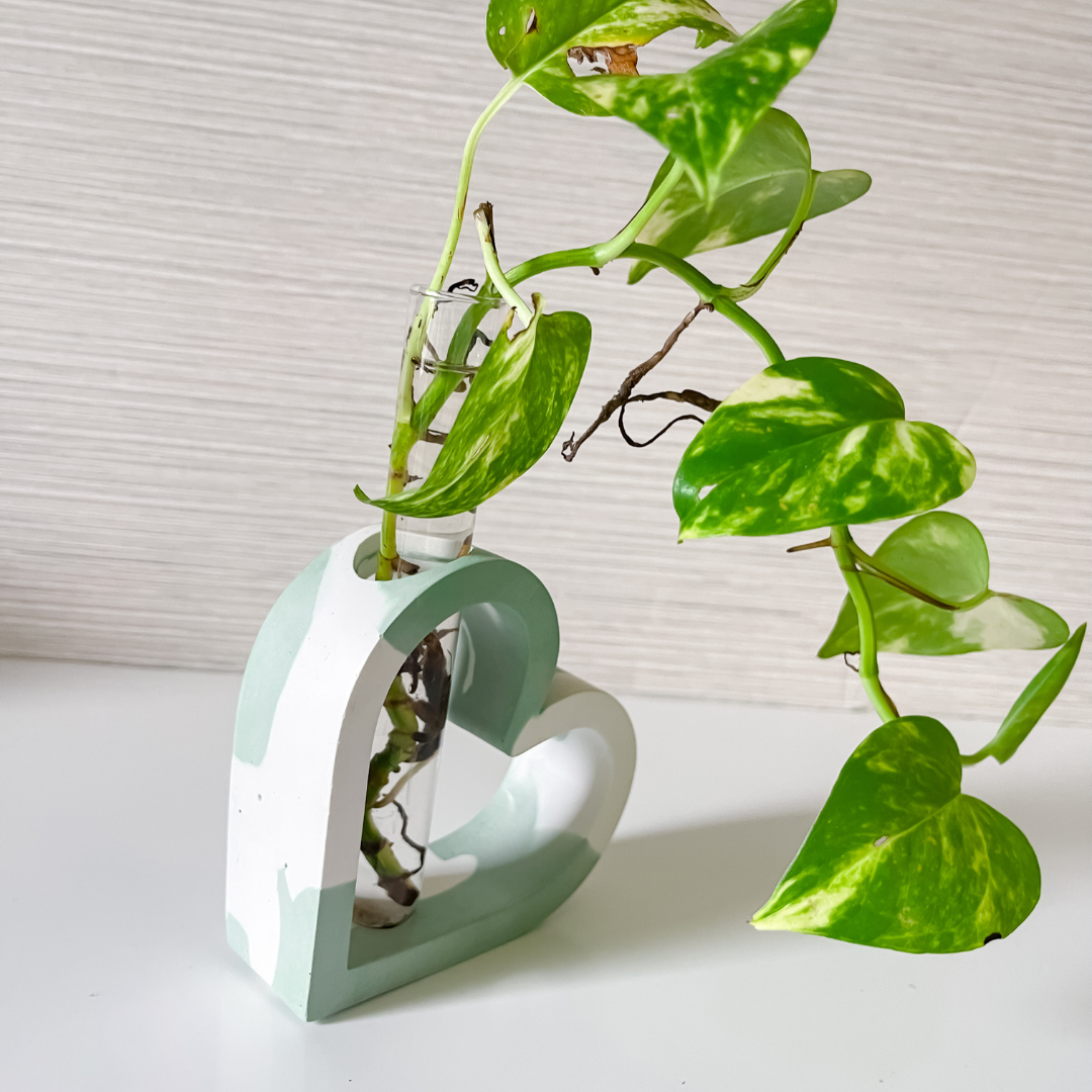Heart Shaped Stem Vase Propagation Station image 4