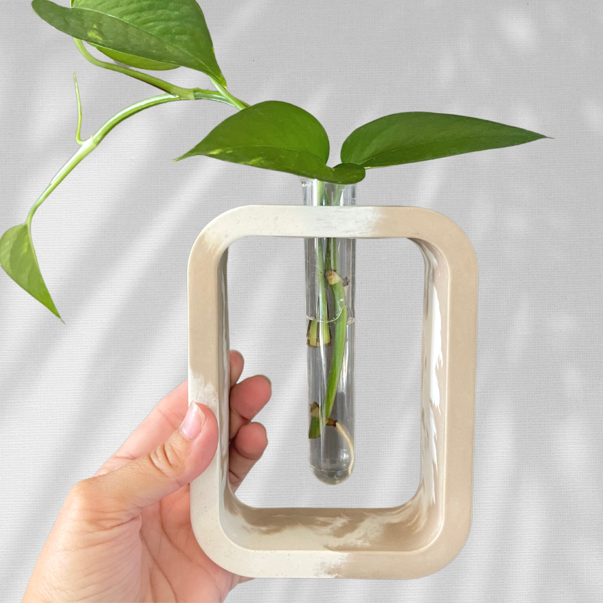 Stem Vase l Propagation Station image 3