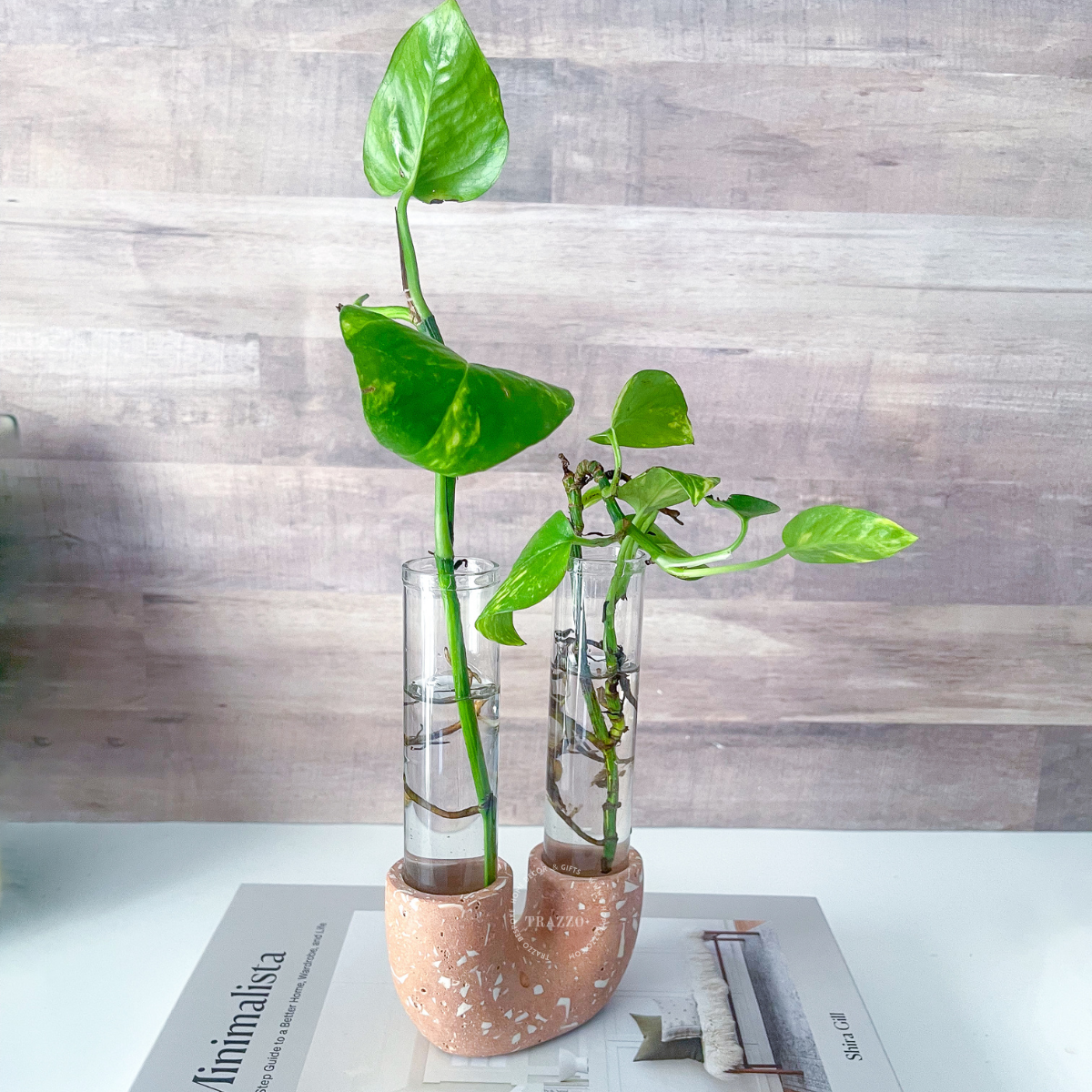 Neutral Terrazzo Propagation Station | Taper Candle Holder image 8