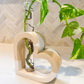 Heart Shaped Stem Vase Propagation Station image 10