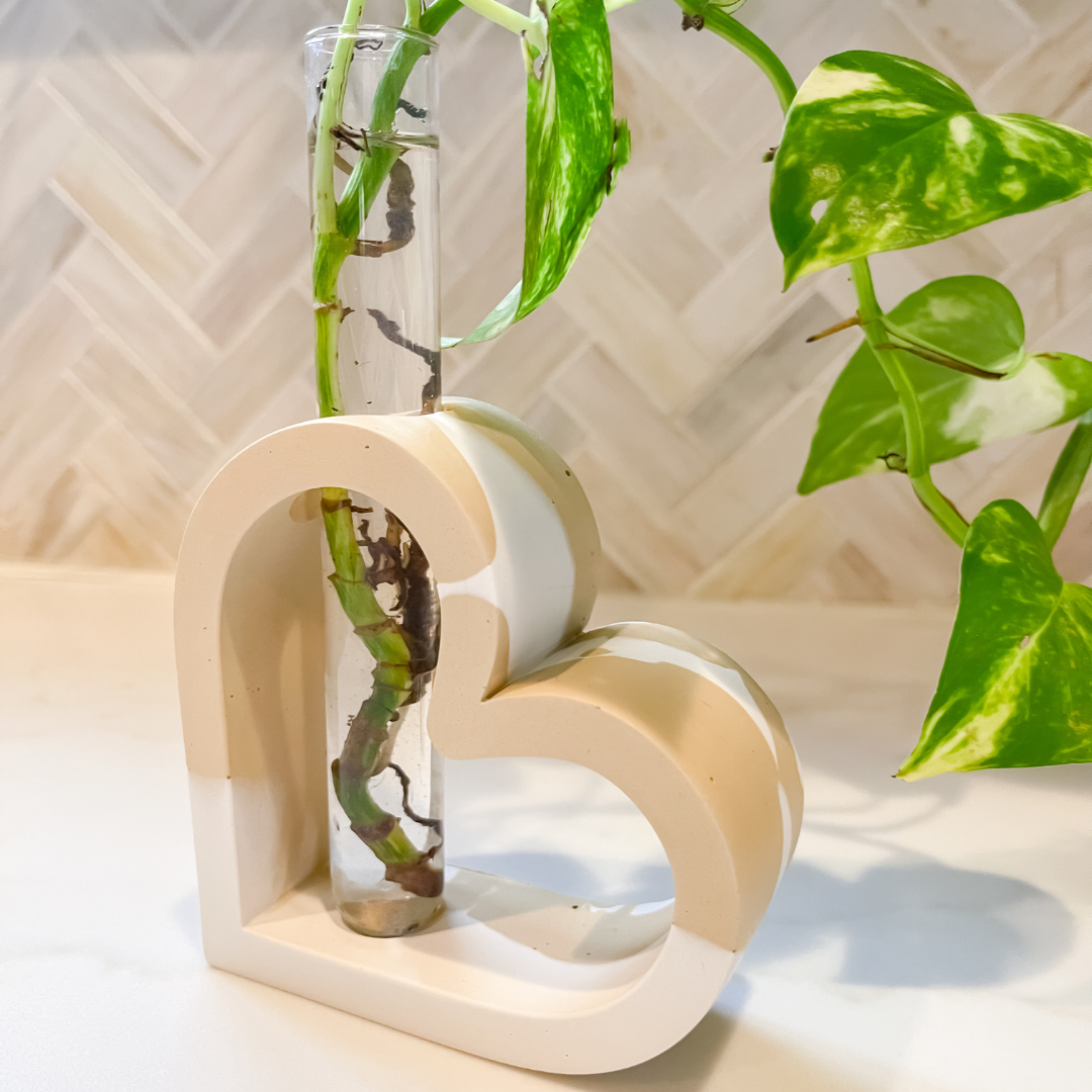 Heart Shaped Stem Vase Propagation Station image 10