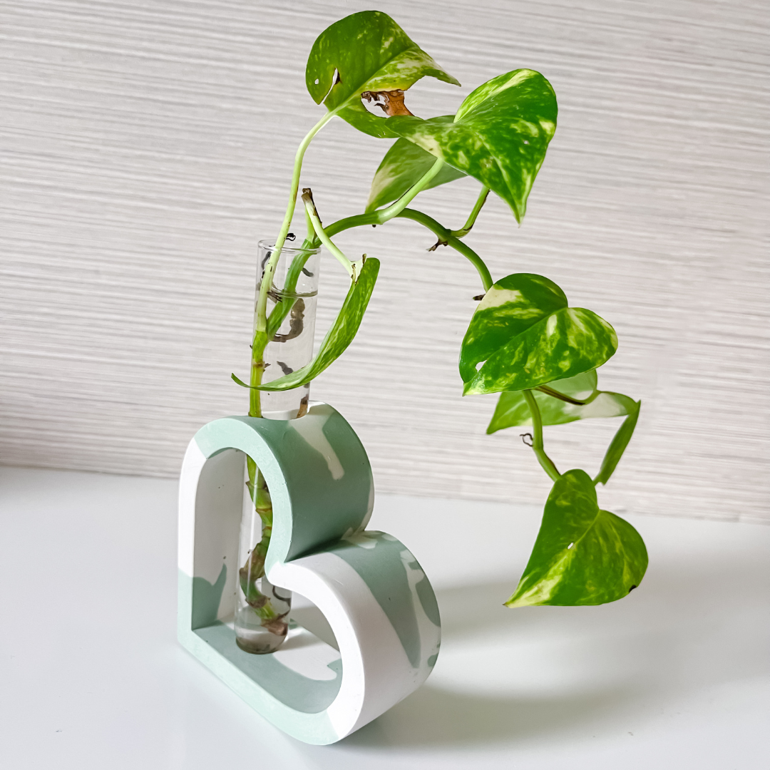 Heart Shaped Stem Vase Propagation Station image 5