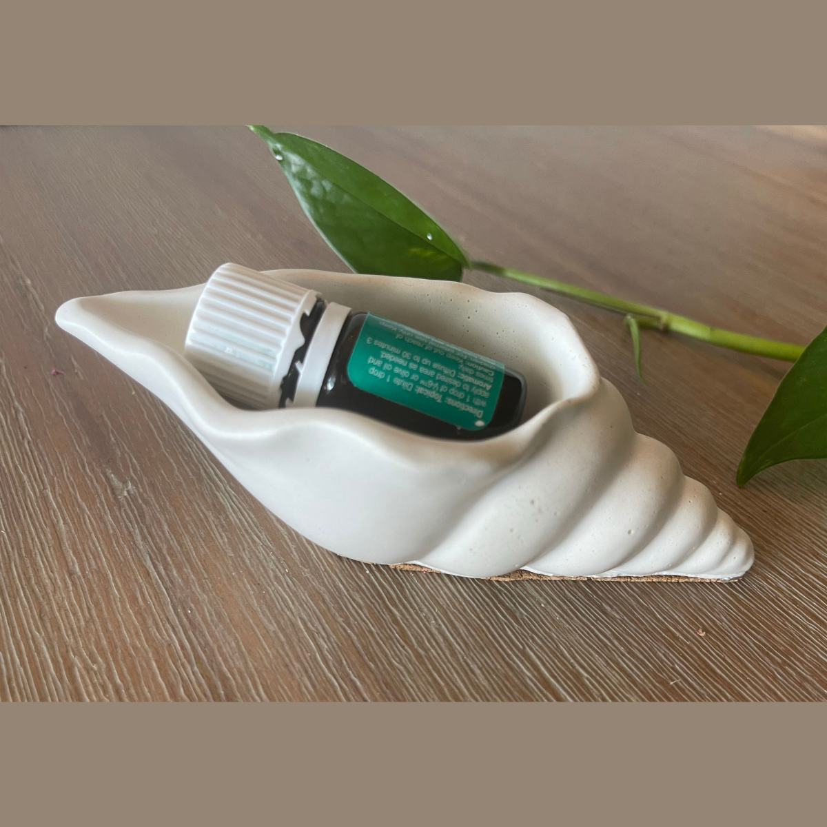 Long Conch Shell Trinket Dish image 2