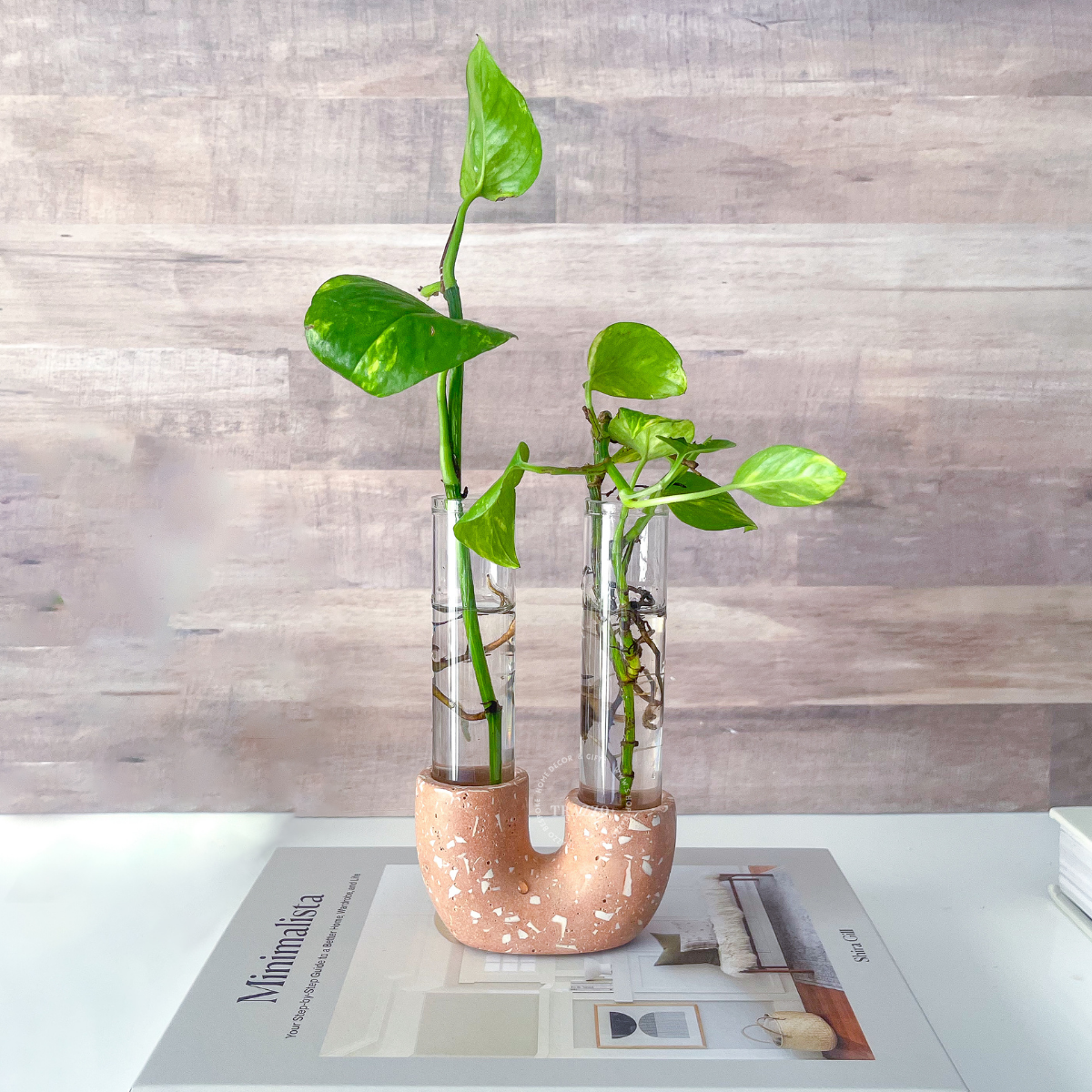 Neutral Terrazzo Propagation Station | Taper Candle Holder image 6