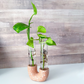 Neutral Terrazzo Propagation Station | Taper Candle Holder image 10