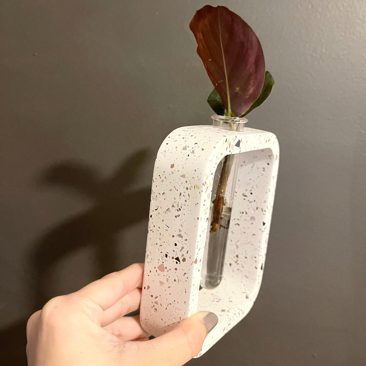 Stem Vase l Propagation Station image 3