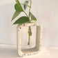 Stem Vase l Propagation Station image 6