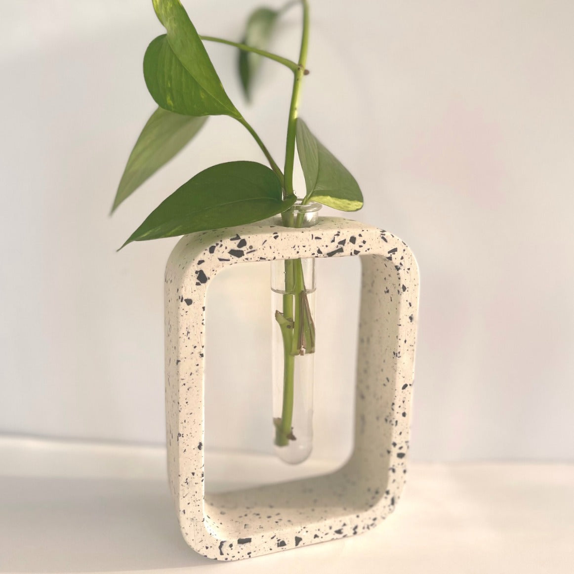 Stem Vase l Propagation Station image 6
