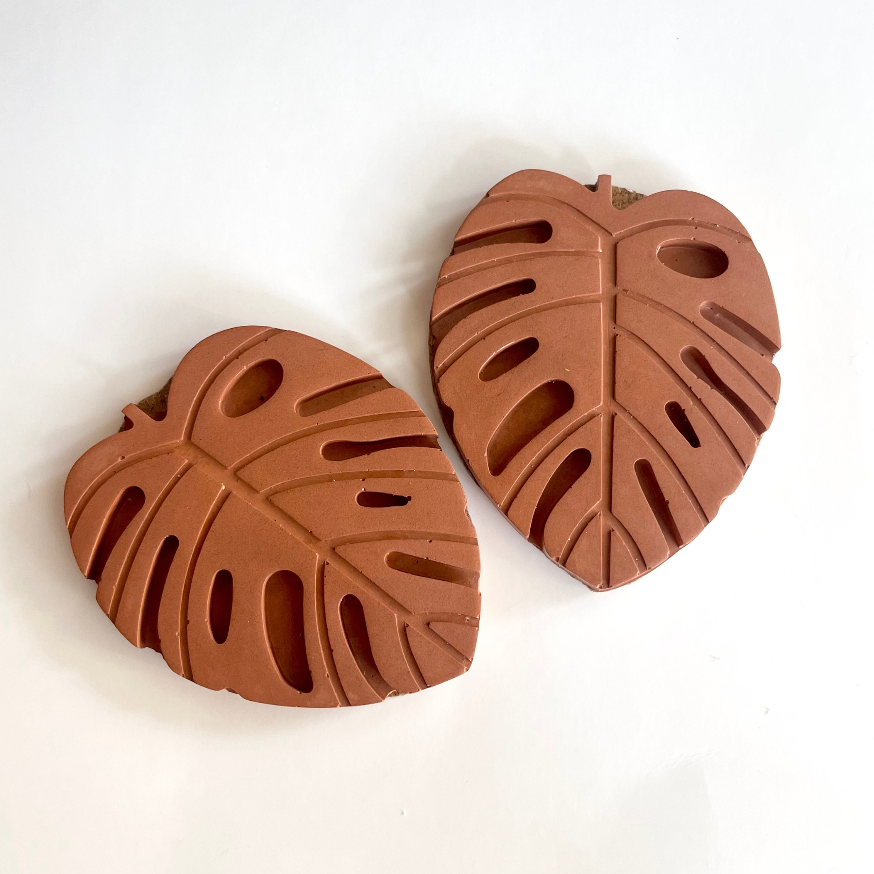 Terracotta Monstera Coasters image 1