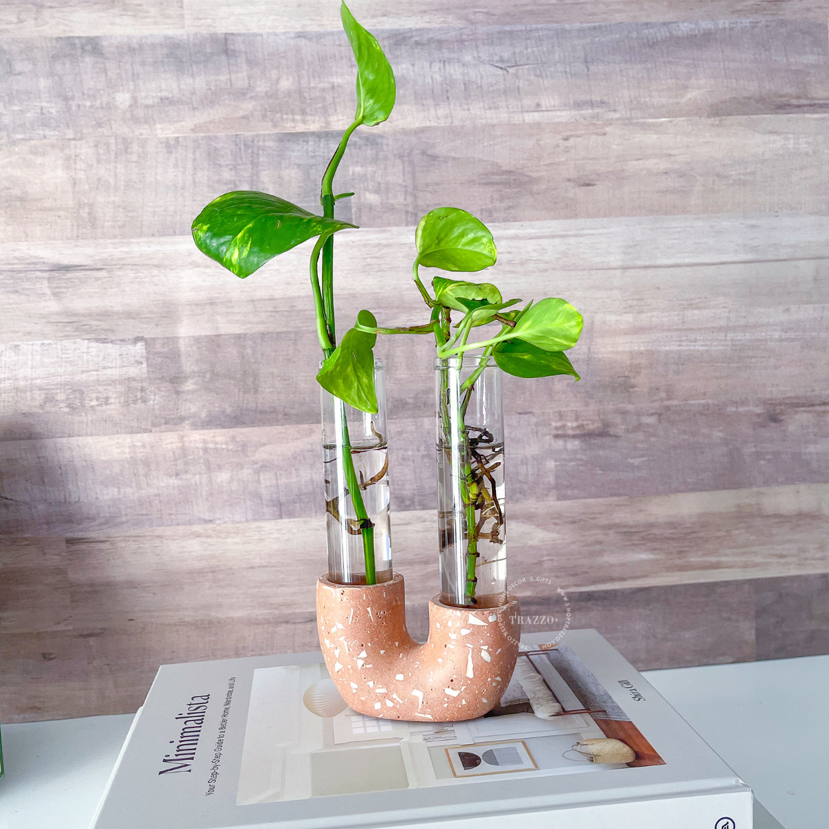 Neutral Terrazzo Propagation Station | Taper Candle Holder image 11