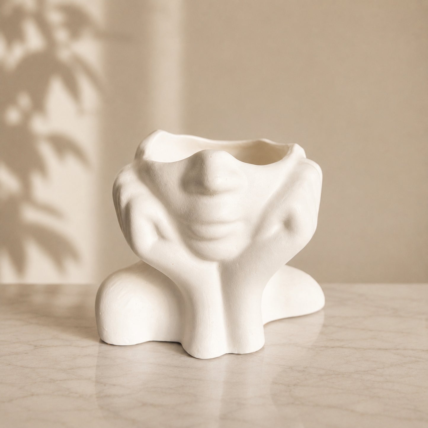 Abstract Face Head Planter