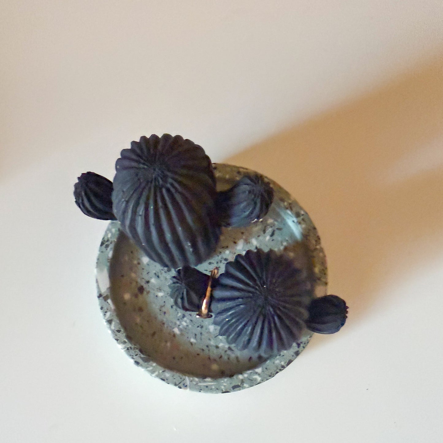 Cactus Ring Holder Set