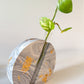 Marbled Gold Leaf Propagation Vase