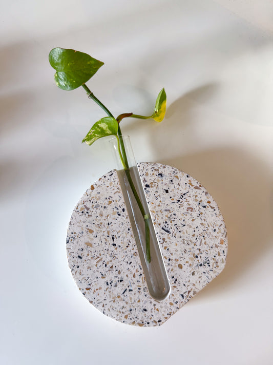 Neutral Pearl Terrazzo Propagation Vase