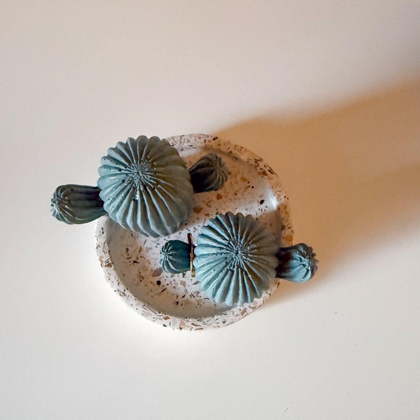 Cactus Ring Holder Set