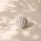 Handcrafted Sea Clam Shell Ring Box