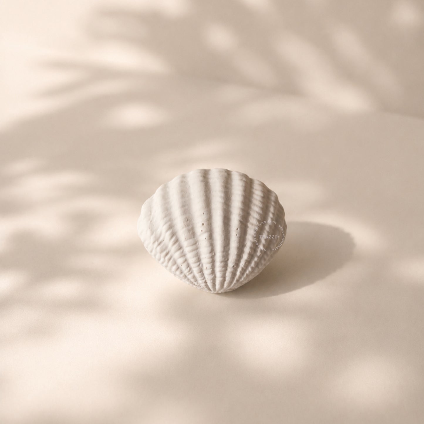 Handcrafted Sea Clam Shell Ring Box
