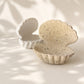 Handcrafted Sea Clam Shell Ring Box