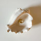 Coastal Shell Trinket Bowl