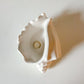 Coastal Shell Trinket Bowl
