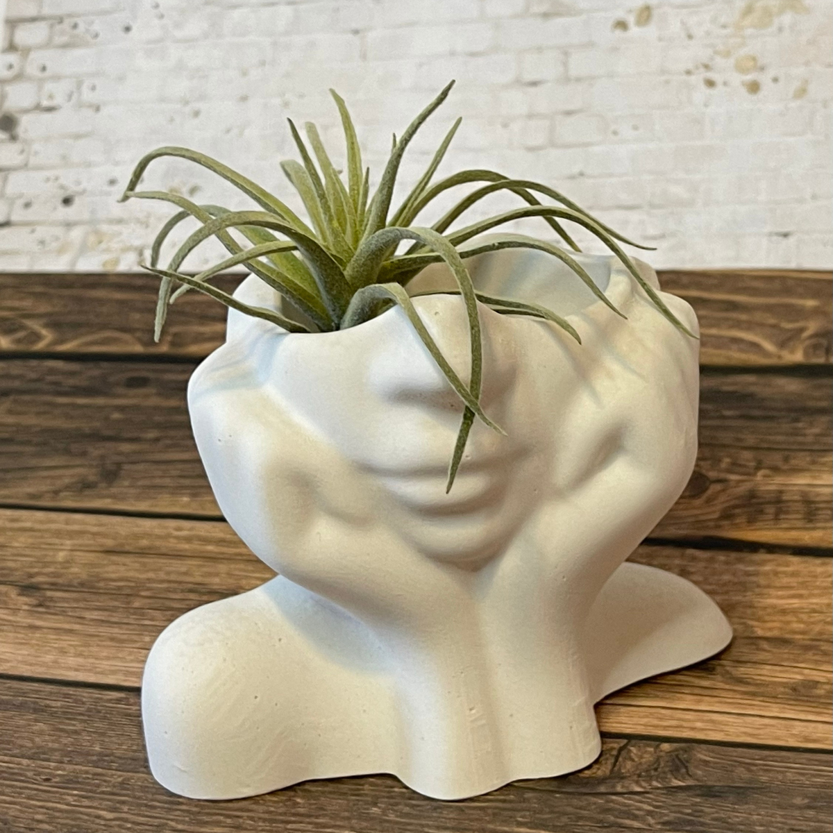 Daydream Bust Planter image 1