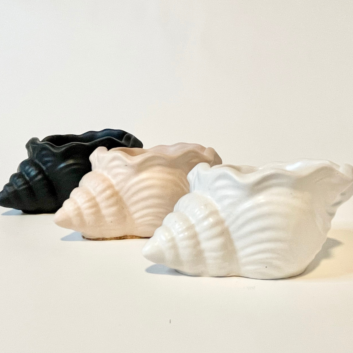 Conch Shell Trinket Dish image 1