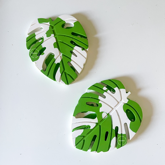 Variegated Monstera Coasters image 0