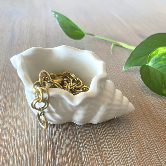 Conch Shell Trinket Dish image 0